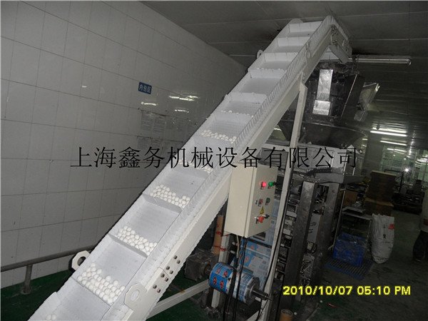 网带爬坡提升机