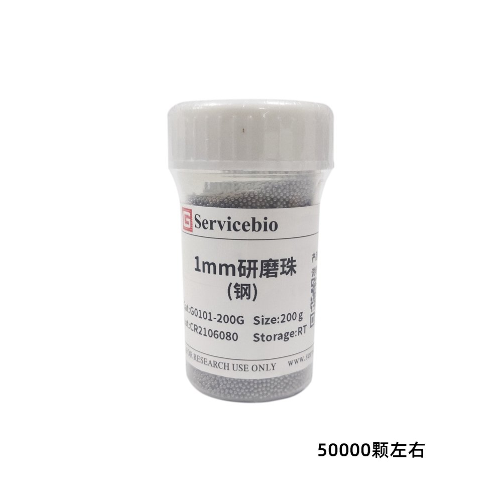 研磨珠（钢）.