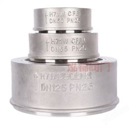 304单向阀止逆阀耐高温DN25 50 100