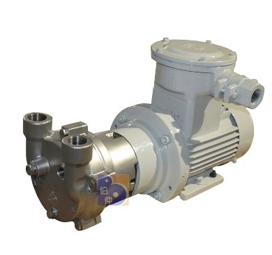 2BV2061-Ex液环真空泵