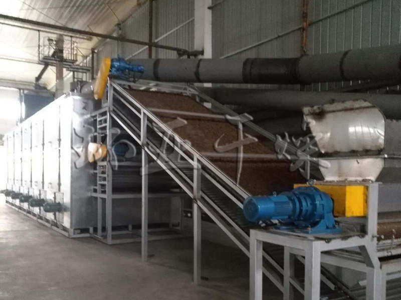 DWT系列脱水蔬菜干燥机