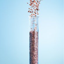 DEVAN天然亚麻籽油抗菌剂 Biome