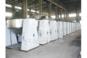 双锥回转真空干燥机