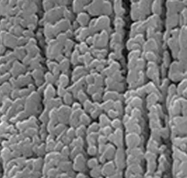 TY-202 低钠煅烧α氧化铝