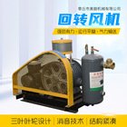 回转式鼓风机