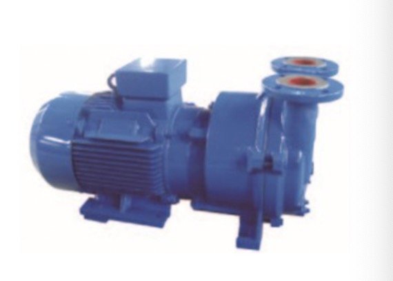 2BV系列水环式真空泵