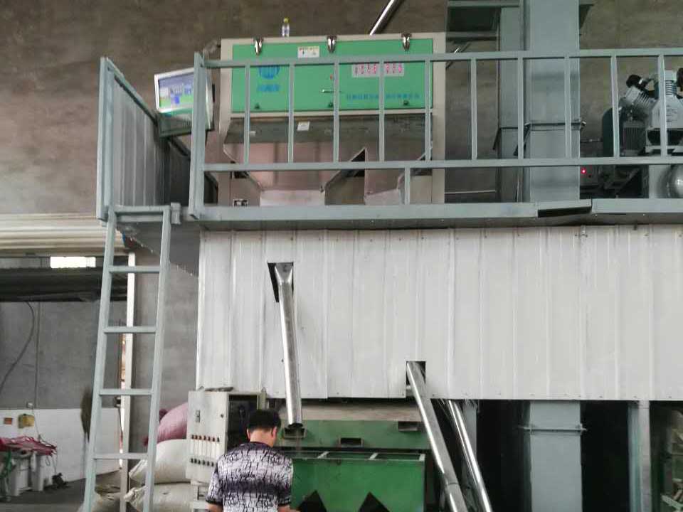 西瓜子色选机