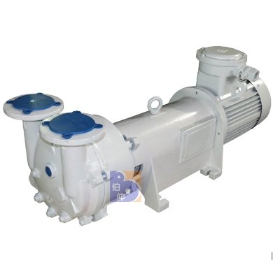 2BV6121水环真空泵