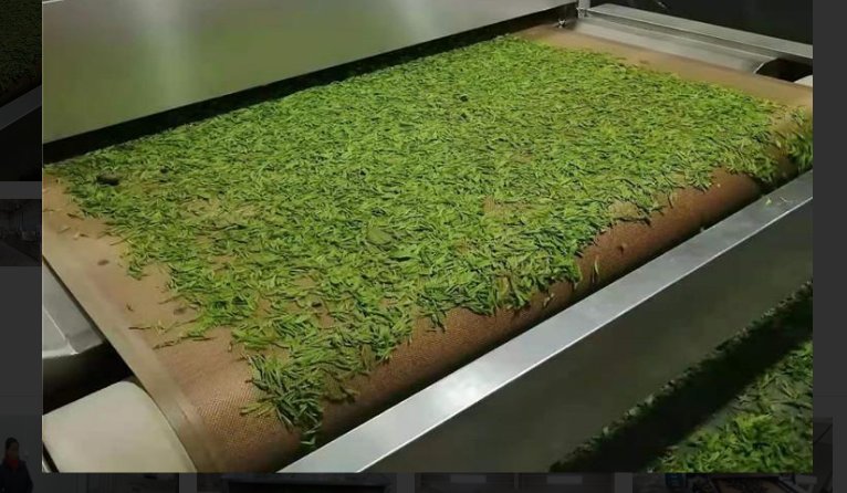 四川茶叶微波杀青干燥机