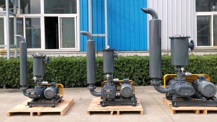 三叶罗茨风机 真空型