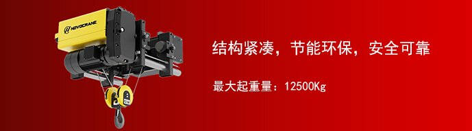 NWH-S低净空钢丝绳电动葫芦