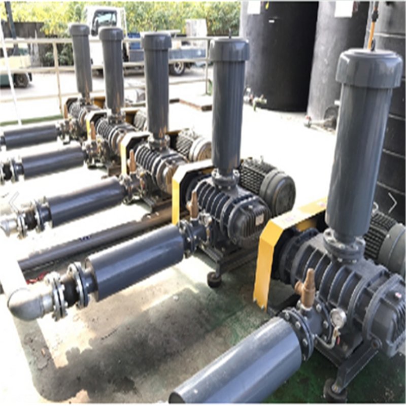 台湾龙铁罗茨鼓风机真空压送电镀印染养殖污水曝气设备