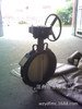 D373H-16对夹式硬密封蝶阀50-2000