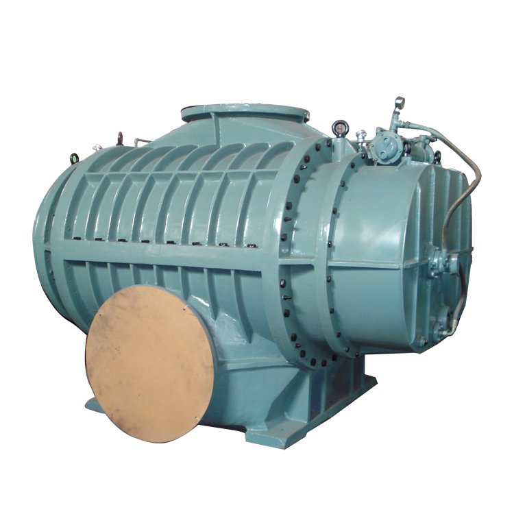 特殊用途罗茨鼓风机