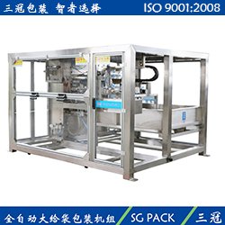 SGJ-ZD全自动种子杂粮大给袋包装机组