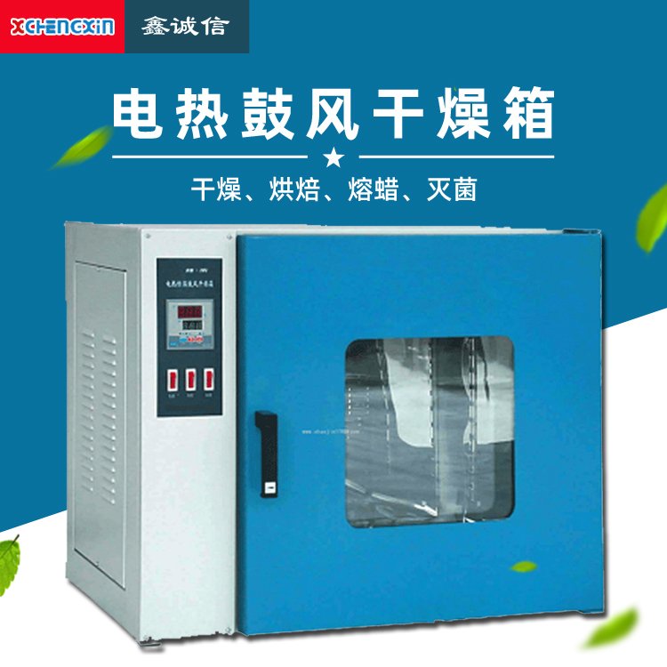 101系列电热鼓风干燥箱 小型工业烘箱