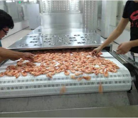 微波虾皮干燥机