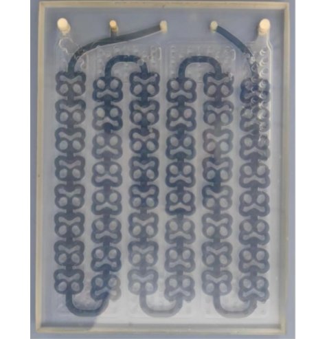 玻璃通道反应芯片120*150*10