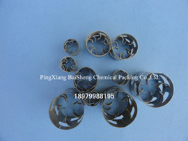 不锈钢鲍尔环填料