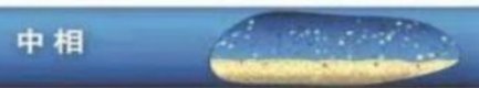 中相输送