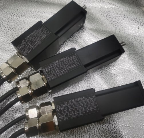 40Ex防爆伺服电机-IICT4