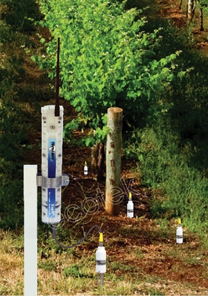 SapIP茎流（液流）监测网络