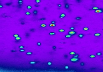 单NV色心量子级金刚石