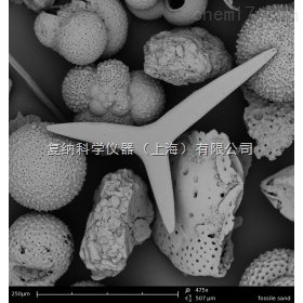 Phenom 飞纳地质领域扫描式电子显微镜原装