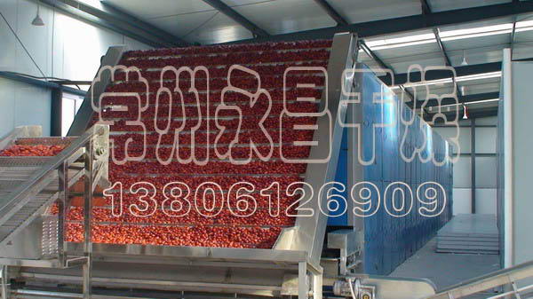 DW3红枣连续烘干机