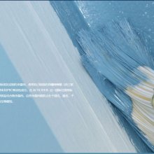 THOR ACTICIDE45 涂料