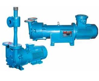 2BV系列水环真空泵