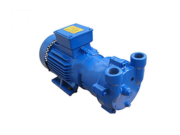 2BV系列水环式真空泵