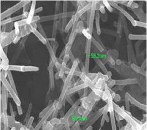 晶须碳纳米管 WhiskerCNT-R