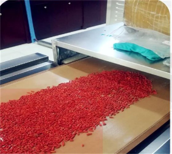 新乡化工粉体微波烘干