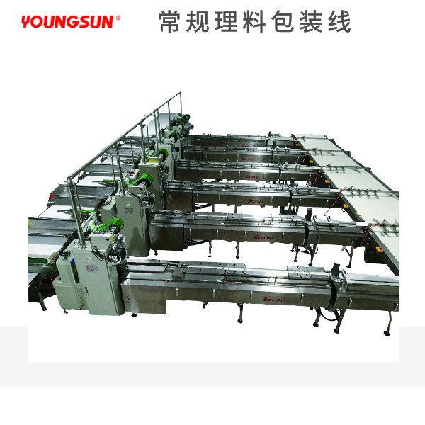 自动理料包装线