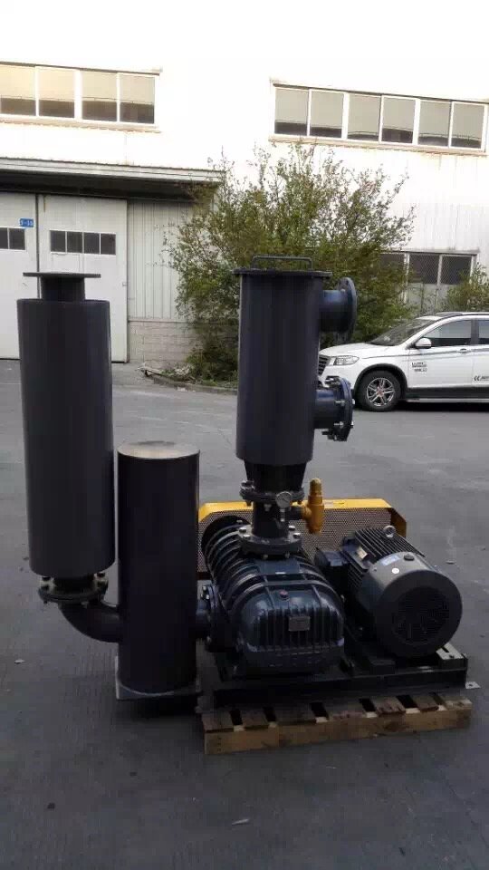 三叶鲁氏真空鼓风机