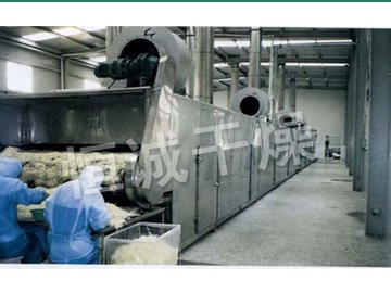 DWC系列脱水蔬菜带式干燥机