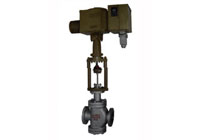 ZAZP、ZAZN型电动直通单、双座调节阀