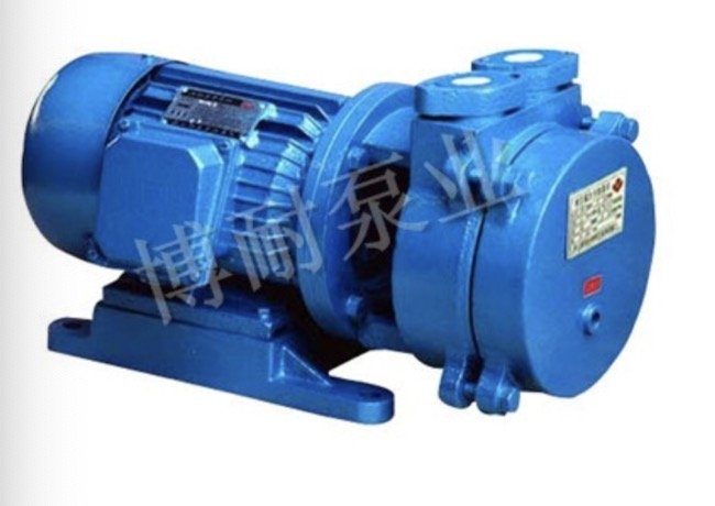 SK直联水环式真空泵