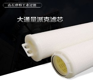 大通量派克双圈滤芯