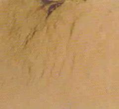 供应电解铜粉，纯铜粉，铜锡合金粉