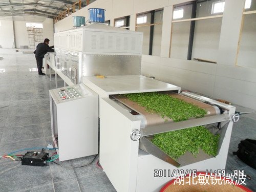 大理茶叶微波杀青烘干