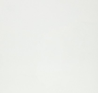 超白系列 9001 白露垂足