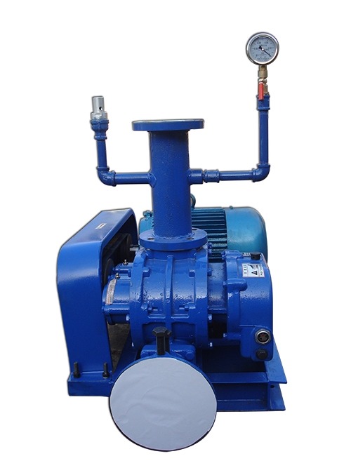 真空罗茨鼓风机