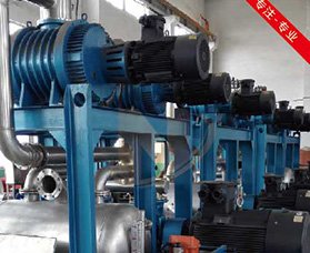 JNJ2B系列罗茨—水环机组