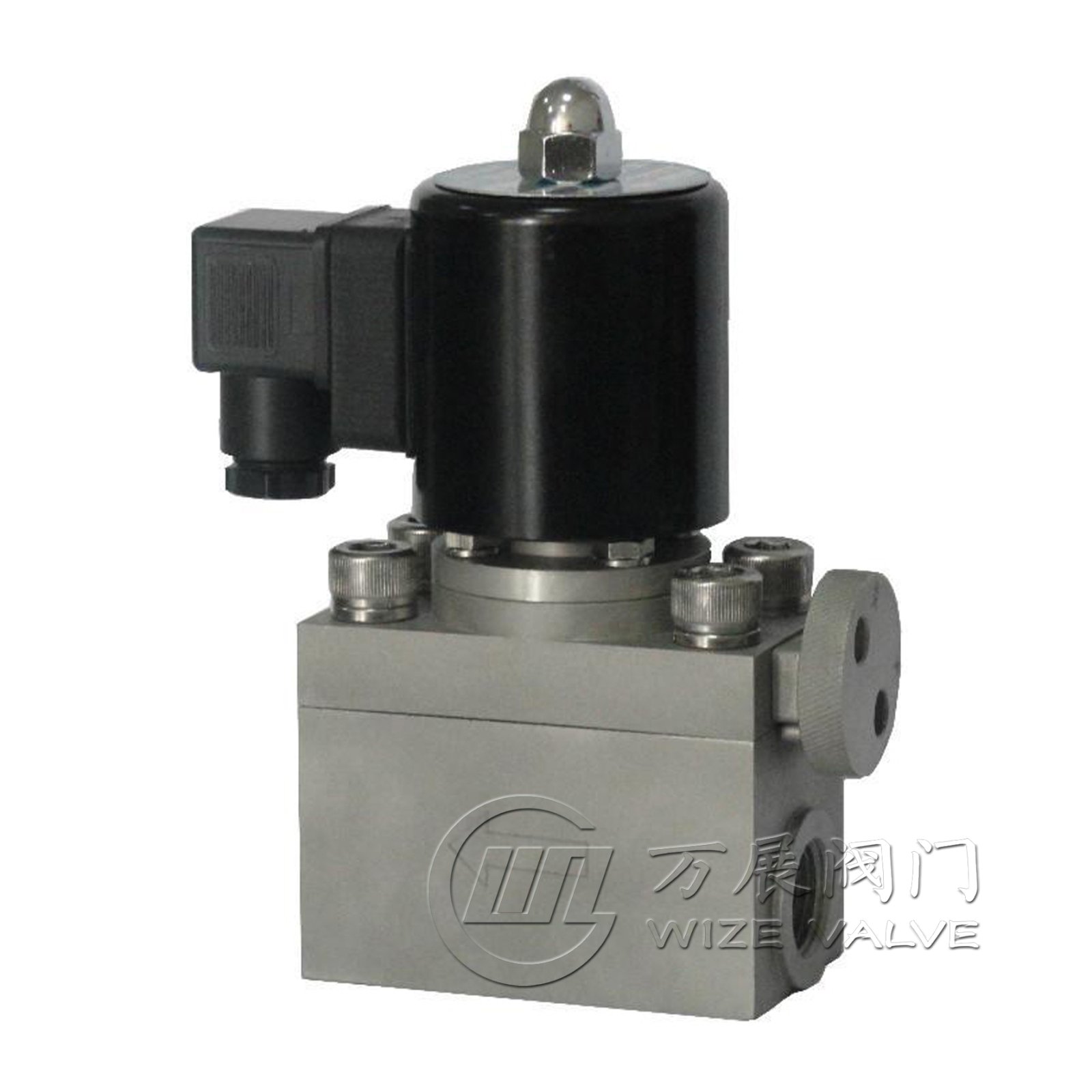 WZG高压电磁阀