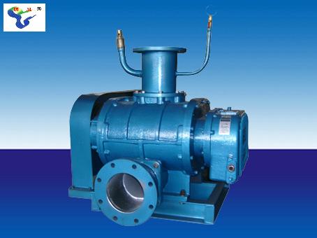 MFSR-100V型罗茨真空泵