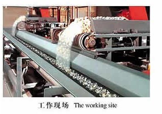 带式定量给料机