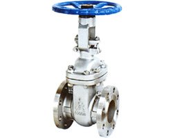 Z41Y API美标法兰闸阀