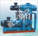 JZJLG系列罗茨-螺杆真空机组